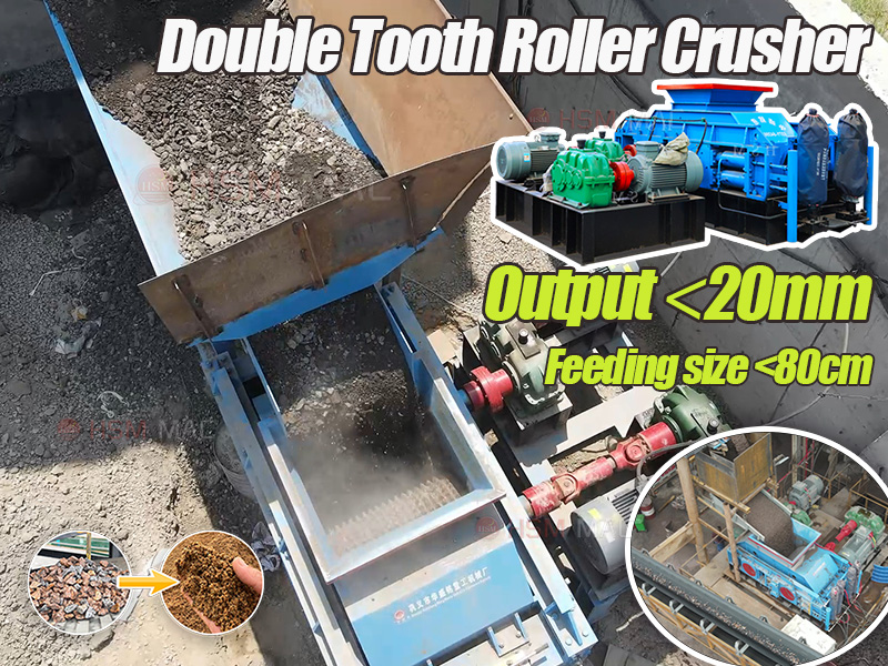 double tooth roller crusher