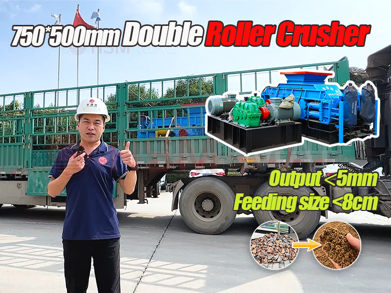 Malaysia double Roller Crusher